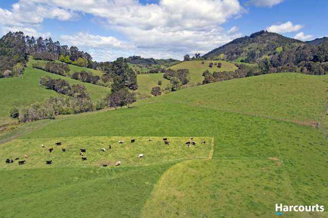 1311 Motueka Valley Highway Ngatimoti_1