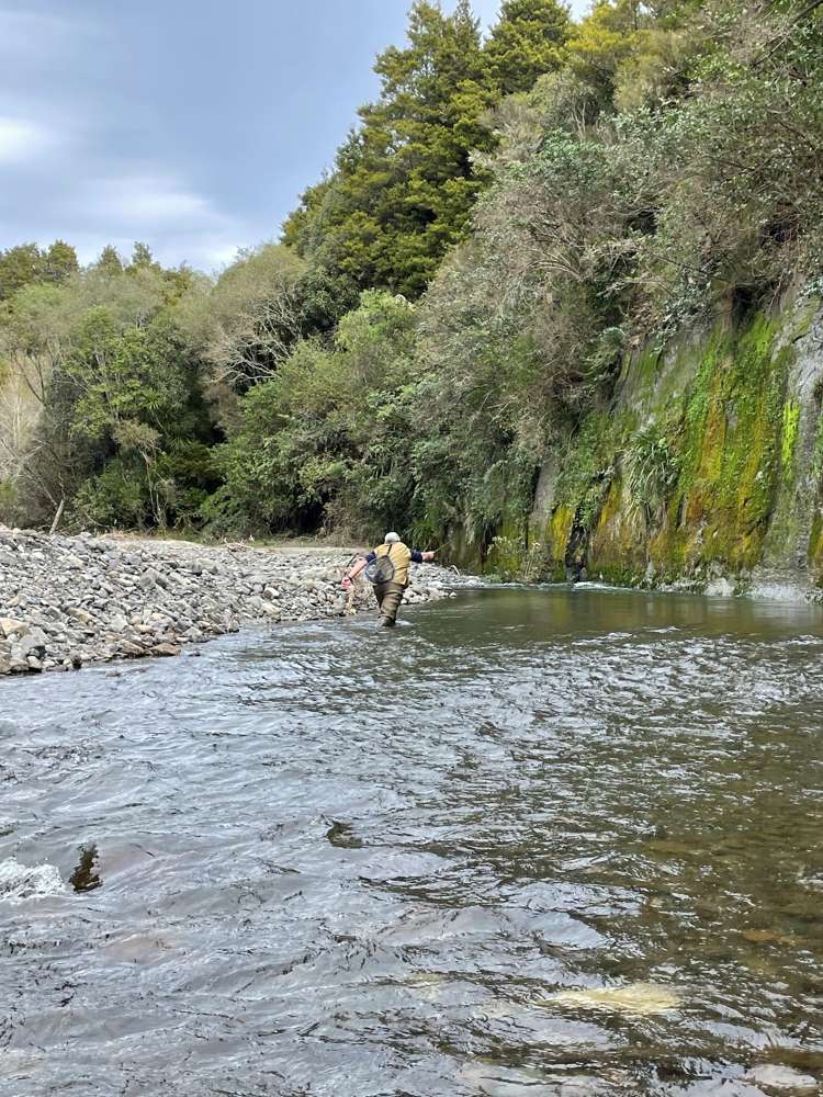 1405 Mangleton Road Central Hawkes Bay Country_34