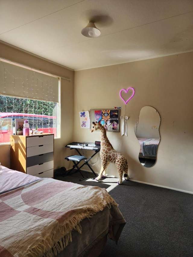 12a Pitcairn Street Oakura_4