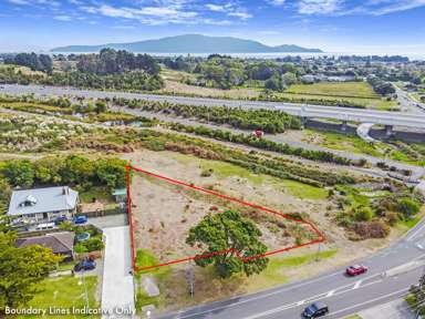 160-162 Te Moana Road_3