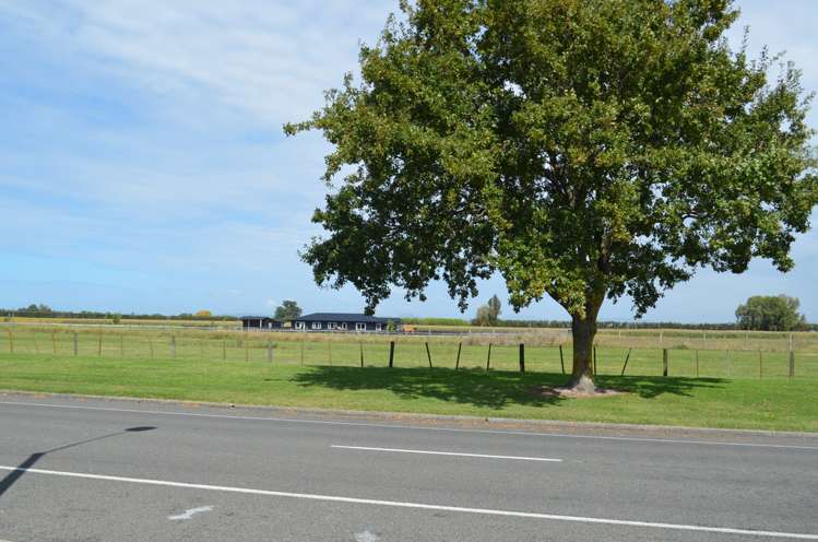 141 Harold Holt Avenue Pirimai_12