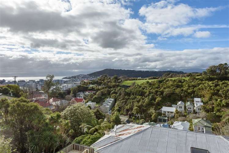 27 Mortimer Terrace Aro Valley_8