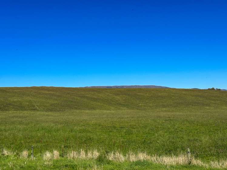 465 Moncurs Road West Otago Surrounds_13