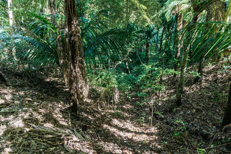 12 Obrien Road Omiha_5