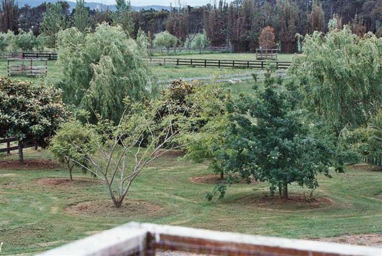 119 Saint Marys Road Waipu_15