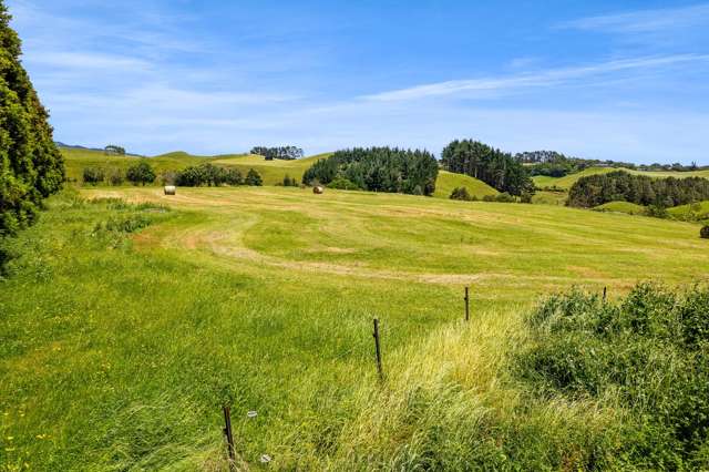 160 Sealy Road Omata_2