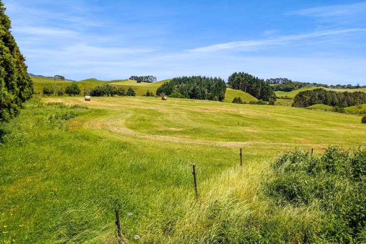 160 Sealy Road Omata_2