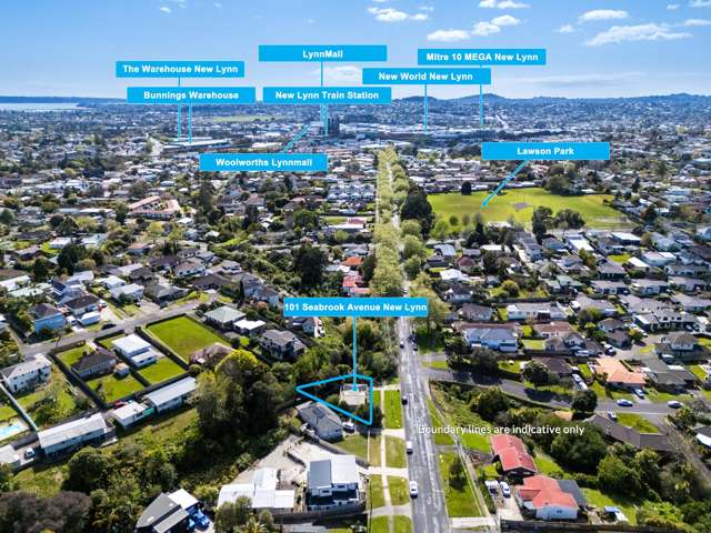 101 Seabrook Avenue New Lynn_3