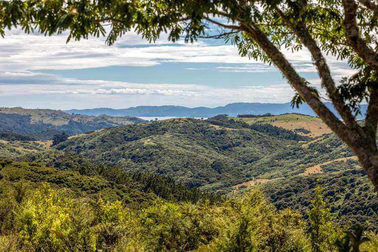 161 Orapiu Road Waiheke Island_5