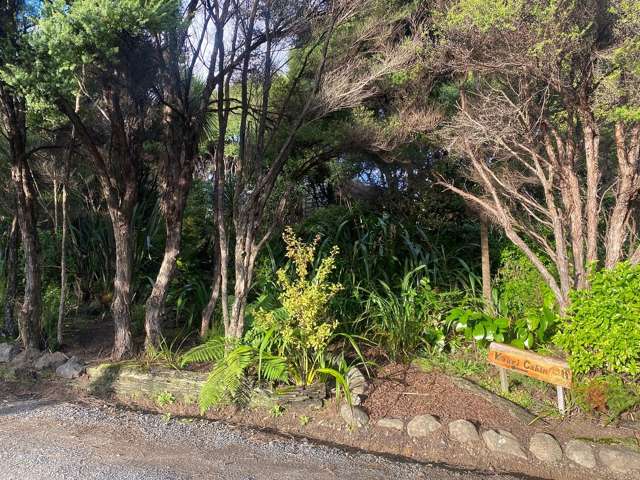 Kauri Cabin/128 Lone Kauri Road Karekare_2