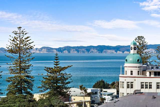 61/3 Shakespeare Road Napier South_2