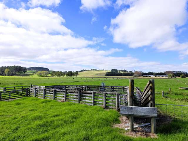 6320 State Highway 12 Dargaville_4