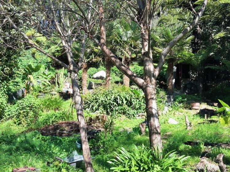 6 Banks Lane Waikino_9