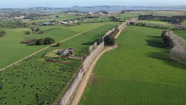 Central Bay of Islands Large Scale Dairy Farm