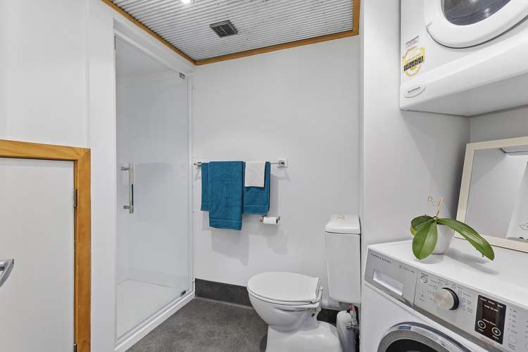 226/6 Left Bank Te Aro_12