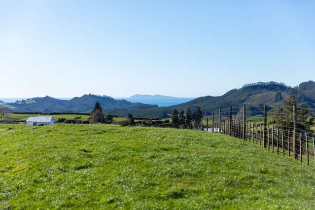 744 Woodlands Road Waihi_3