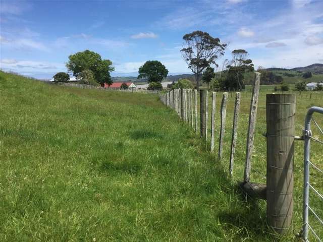 6c Hawkins Place Dargaville Surrounds_3