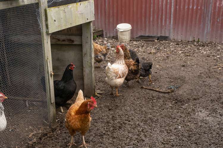 24 Moore Crescent Carterton_8