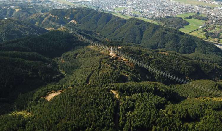 Mount Cecil Road Moonshine Valley_1