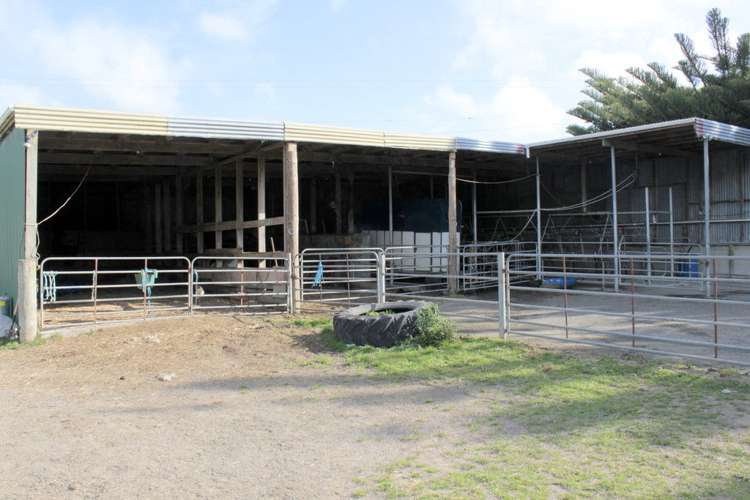 187 Katavich Road Awanui_8