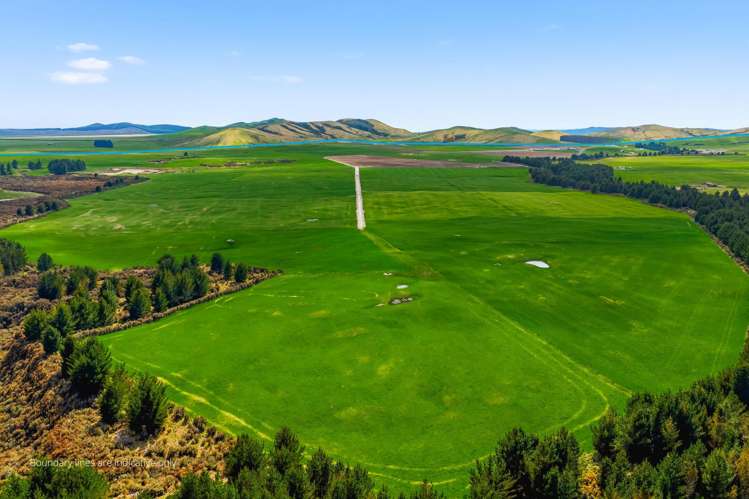 2/1389 Taharua Road Rangitaiki_22