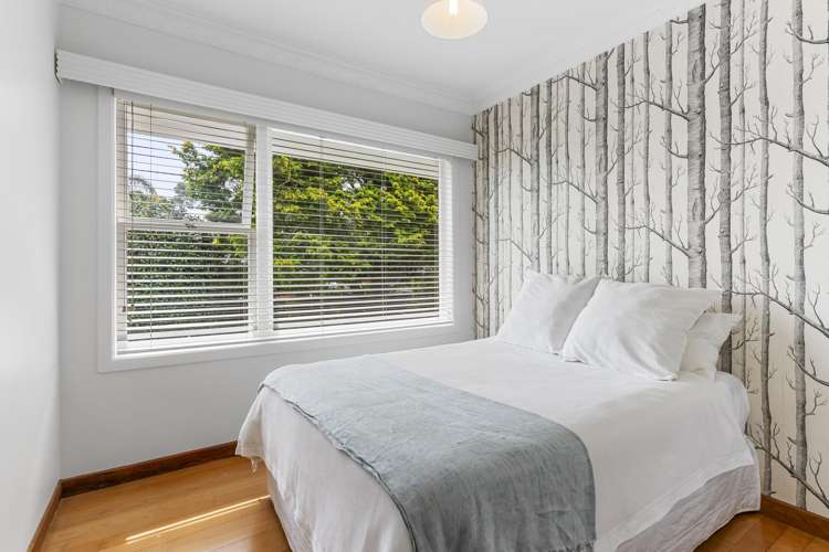 58 Linwood Avenue Mount Albert_18