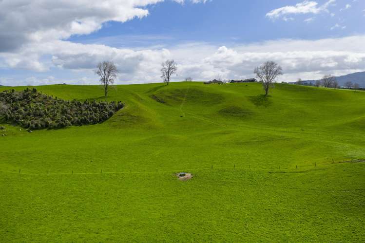 578 Waimanu Road Wharepapa South_12