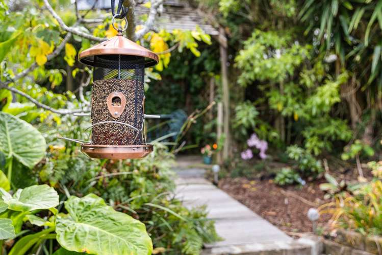 15 Helleur Road Massey_3