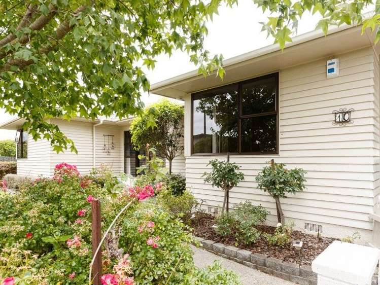 10 Dittmer Drive Awapuni_1