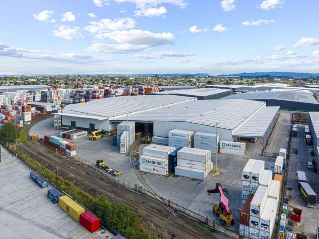 113 Savill Drive Otahuhu_1