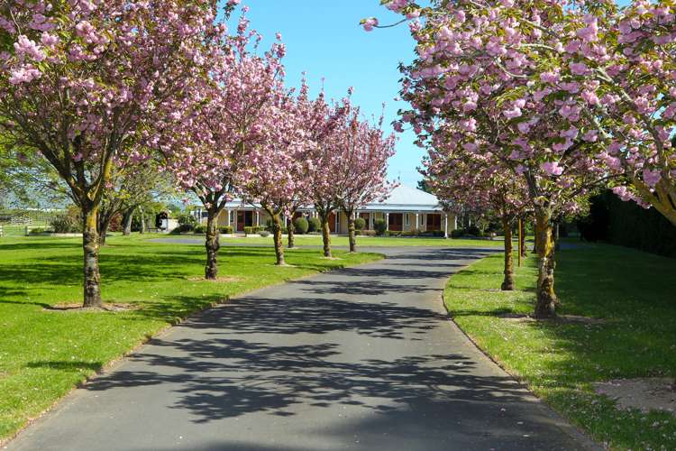 1262 Maraekakaho Road_0