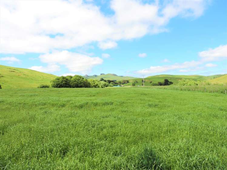 53 Jones Road Porangahau_19