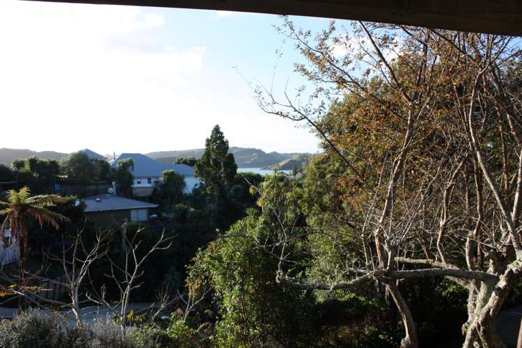 44b Cross Street Raglan_8