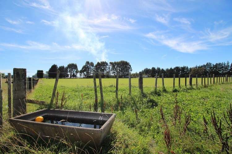 112 Calico Line Marton_7