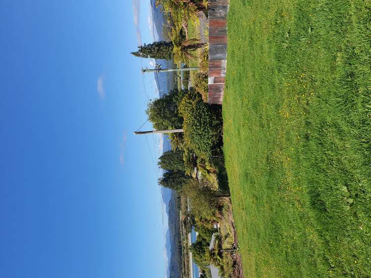 232 Woodstock-Rimu Road Ruatapu_8