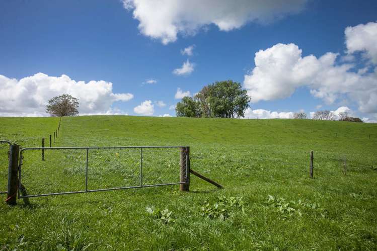 80 Paratu Road Richmond Downs_12