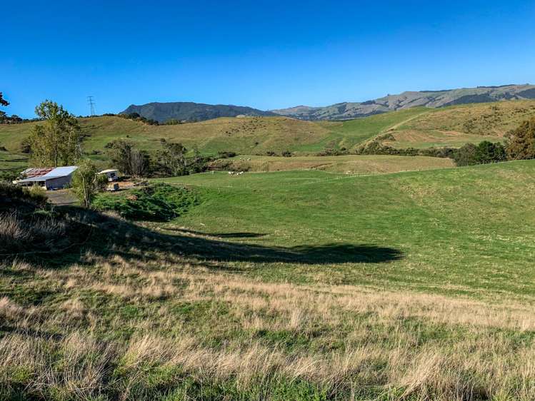 114 Aorangi Road Paeroa_8