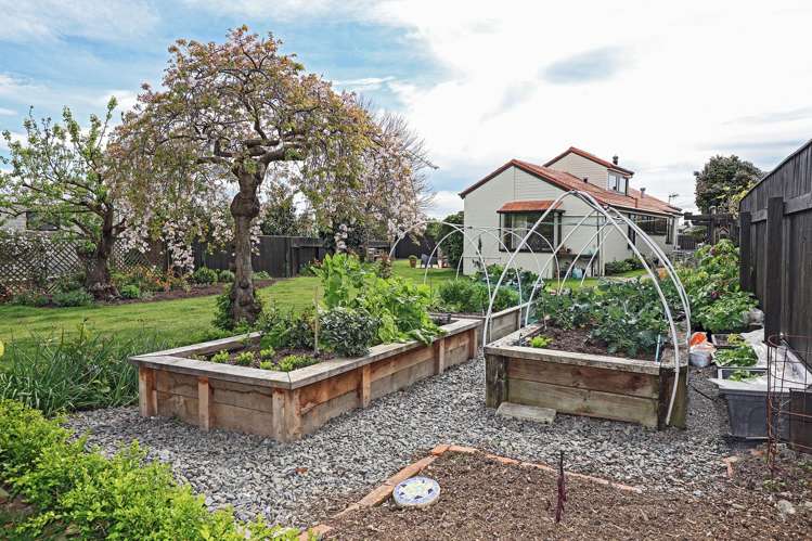 406A Frederick Street West Mahora_16