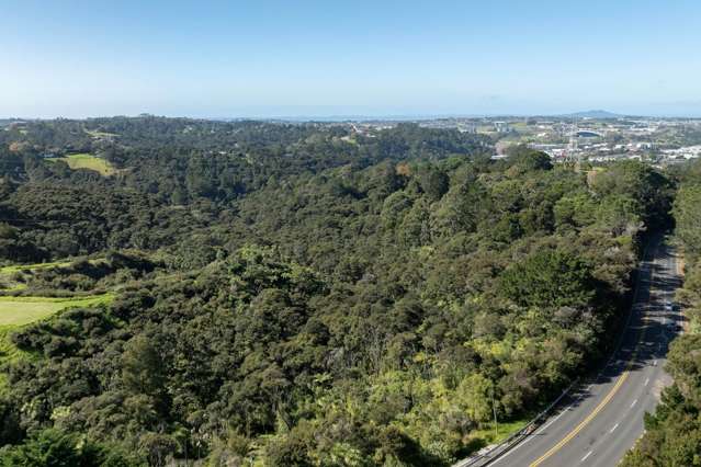 420 Dairy Flat Highway Albany Heights_2