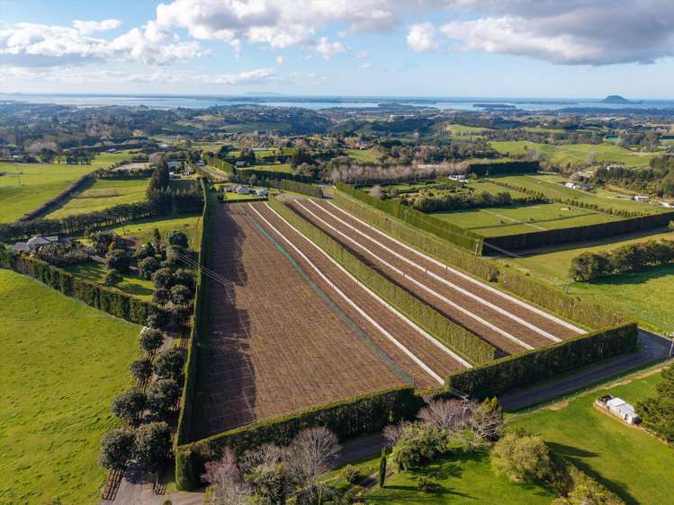 640 Esdaile Road Whakamarama_25