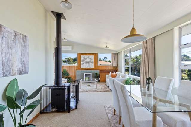 29 Awanui Street Merrilands_1