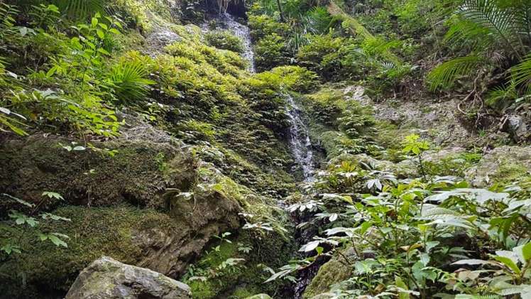 3211 Russell Road Whangaruru_14