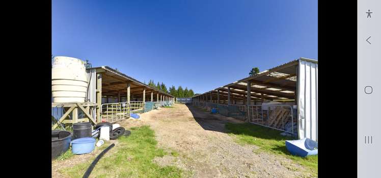 248 Lichenstein Road Okere Falls_18