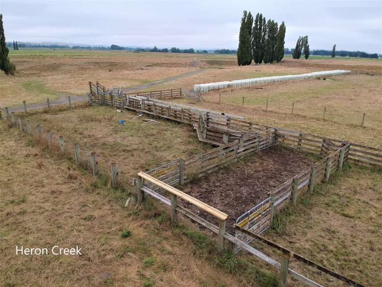 3389 State Highway 2 Takapau_16