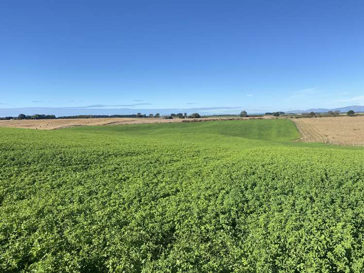 Bristol Road Pareora_1