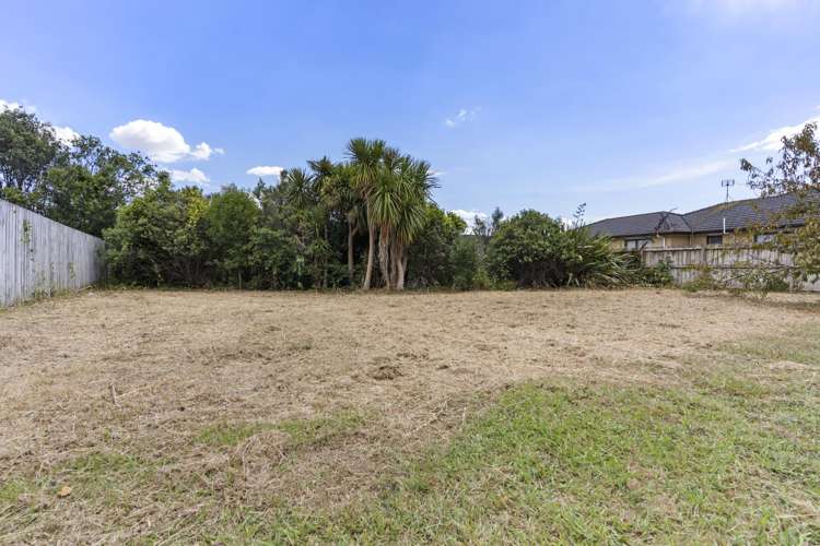 43A Martyn Street Waiuku_5