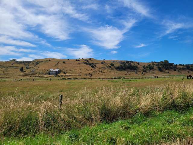 110 Avon Road Centre Bush_3