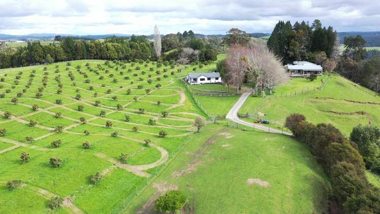 State highway 33 Paengaroa_9
