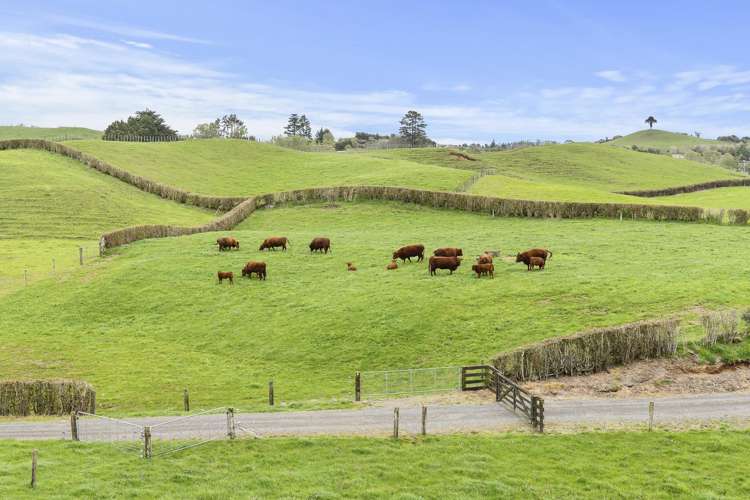 953 Upland Road Egmont Village_19