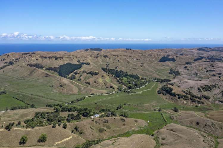 475 Te Akau South Road_5